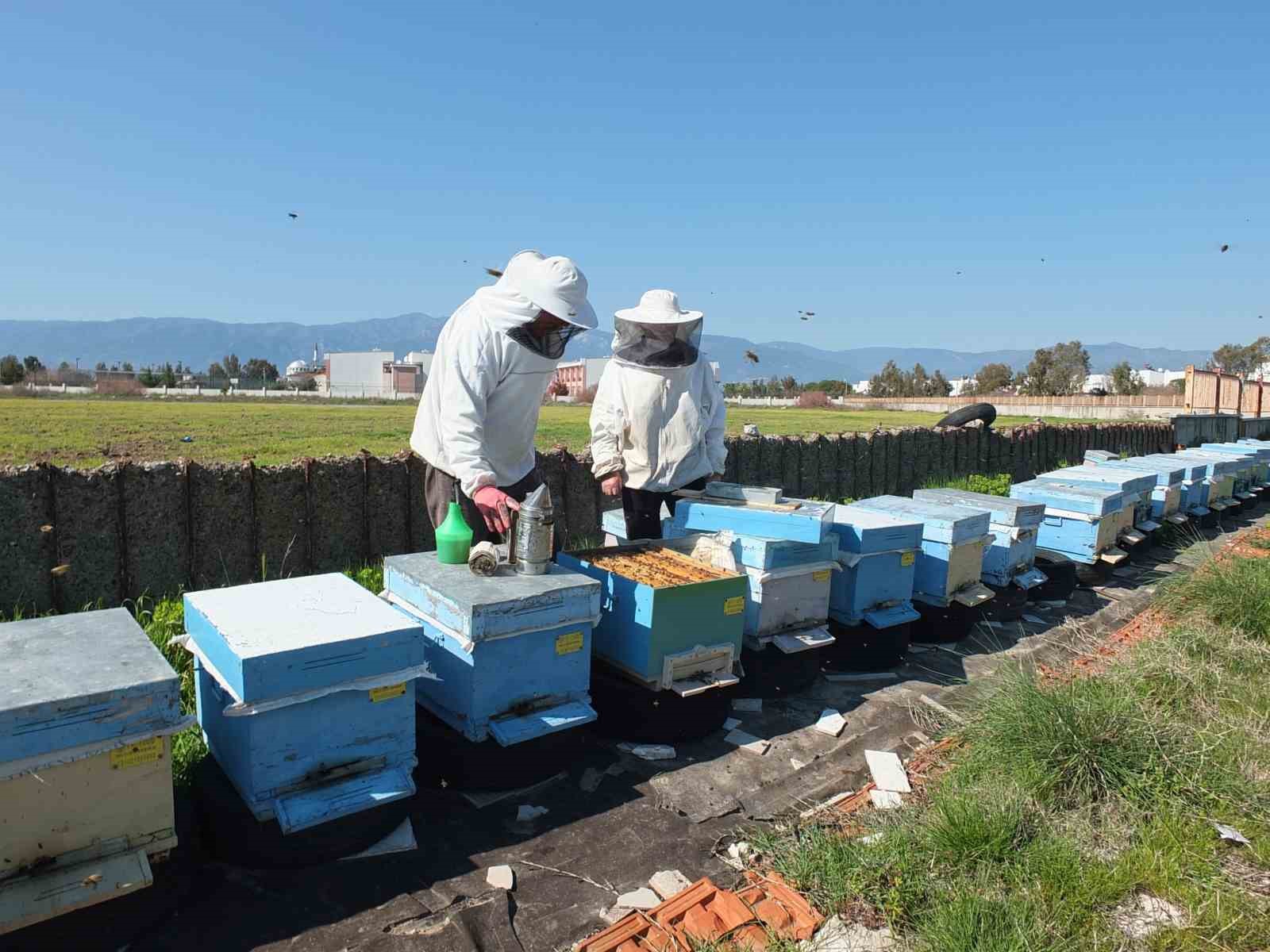 Balıkesir’de son yağışlar arıcıları sevindirdi Balıkesir’de son yağışlar arıcıları sevindirdi
