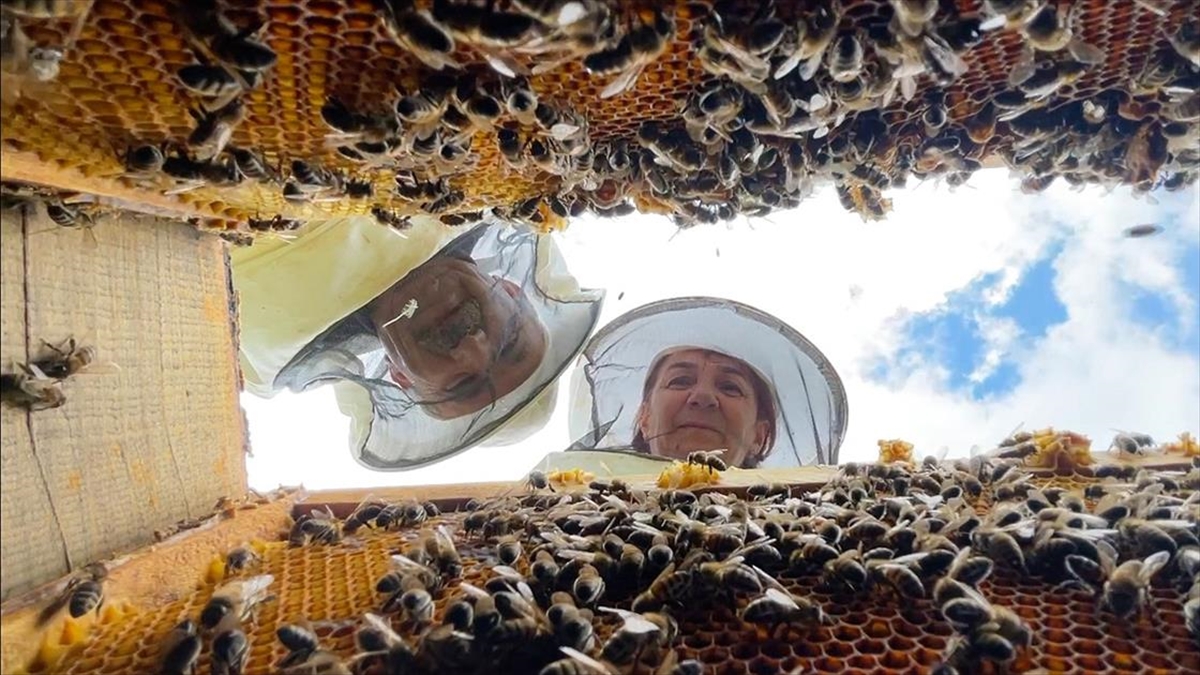 Bingöllü arıcı çift 30 yıldır “en iyi bal” için mesai yapıyor Bingöllü arıcı çift 30 yıldır “en iyi bal” için mesai yapıyor