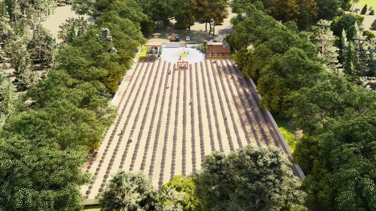 Kaş’ta “Tıbbi Aromatik Bitkiler İşleme ve Değerlendirme Merkezi” kuruluyor