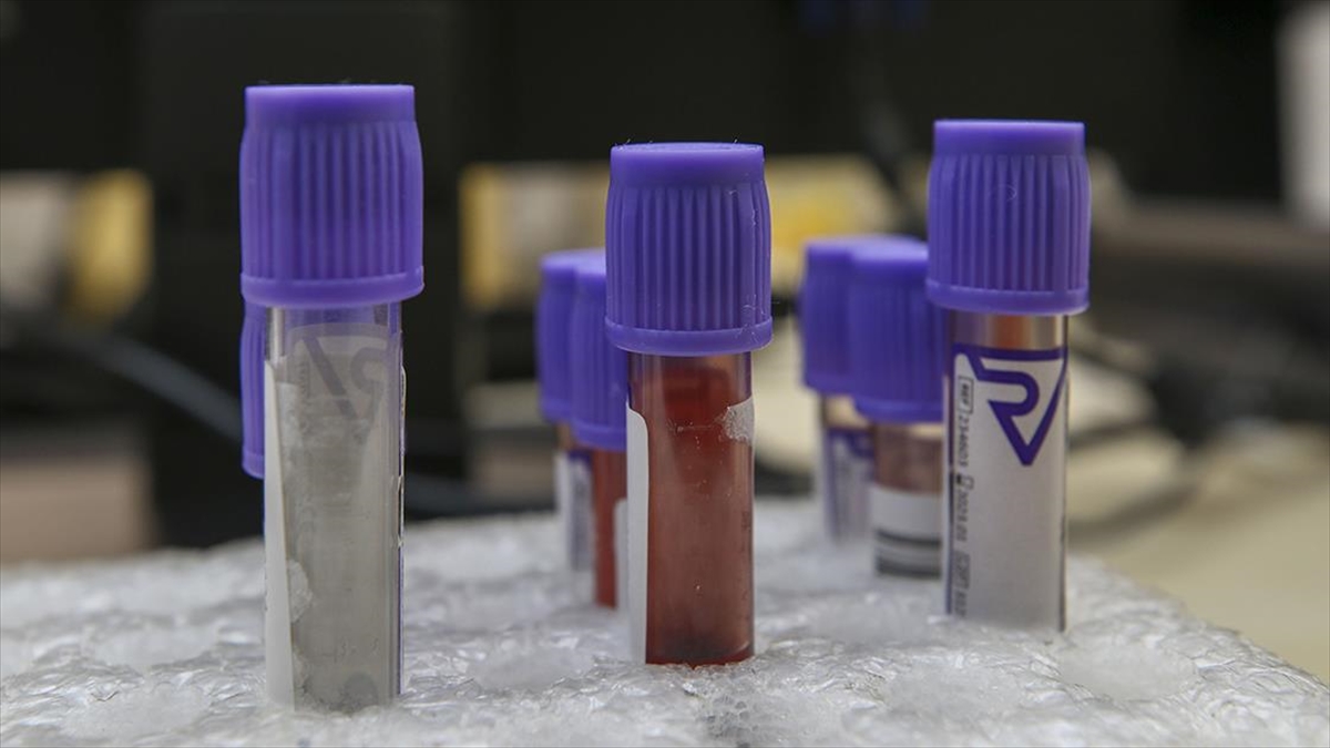 İngiltere’de denenen kan testiyle her üç kanserden ikisi tespit edildi İngiltere’de denenen kan testiyle her üç kanserden ikisi tespit edildi