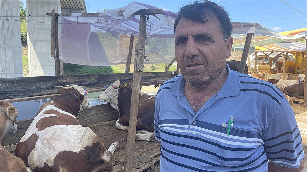 İstanbul’da kurban pazarlarında üreticiler satışlardan memnun