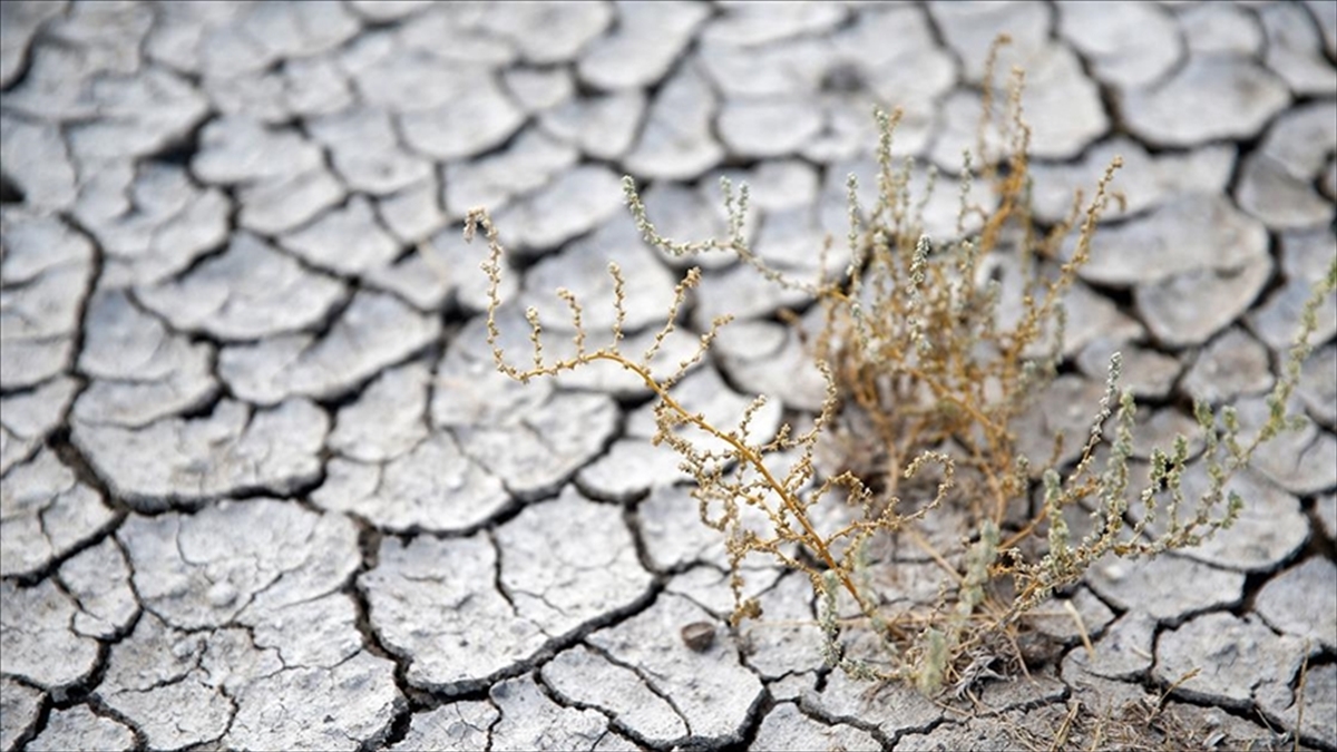 Türkiye’de arazilerin yüzde 45’i erozyon nedeniyle çölleşme riski altında bulunuyor Türkiye’de arazilerin yüzde 45’i erozyon nedeniyle çölleşme riski altında bulunuyor