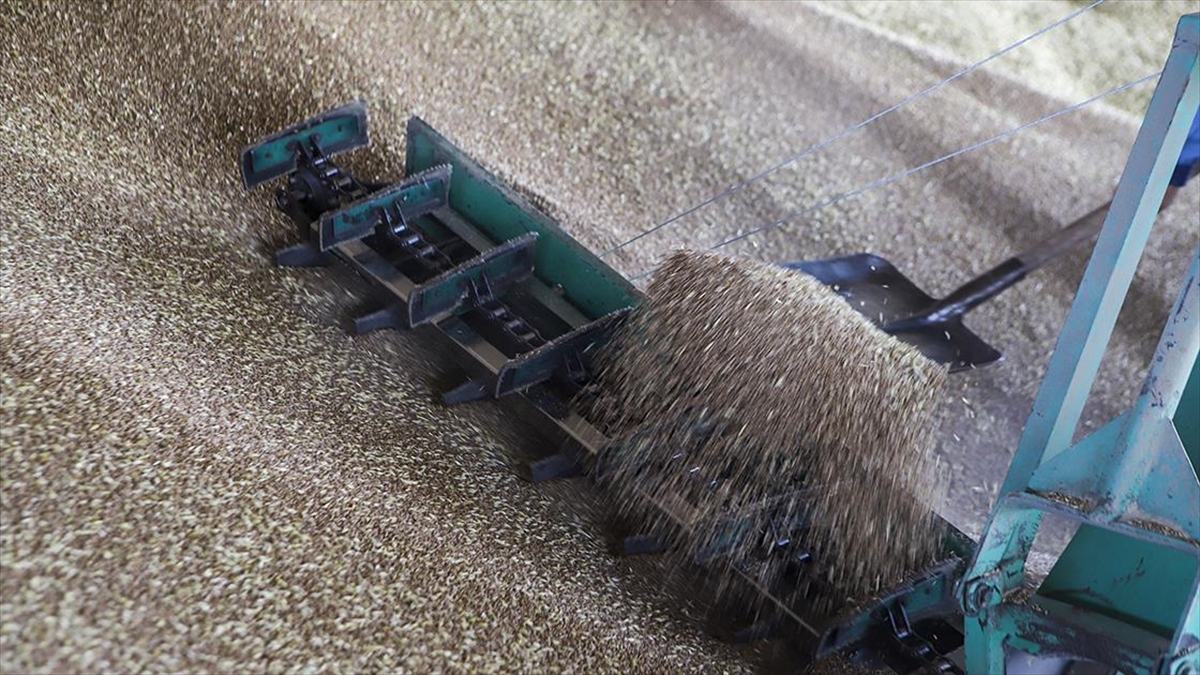 AB’den “büyük gıda krizi” uyarısı AB’den “büyük gıda krizi” uyarısı