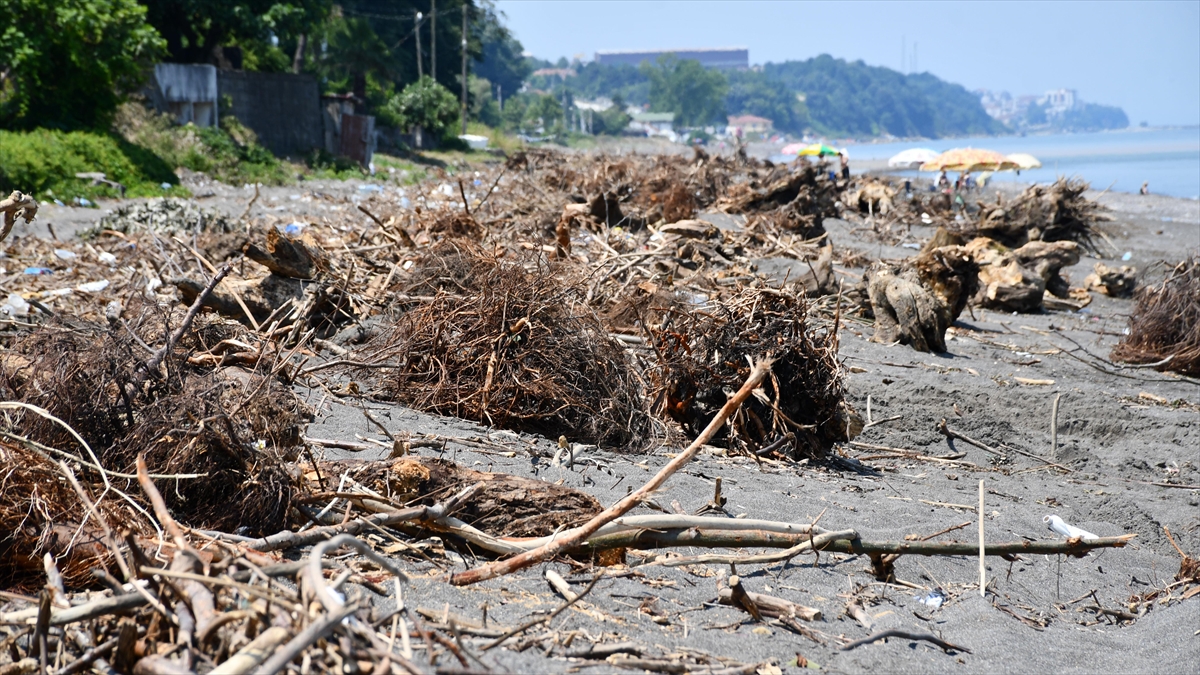 Akçakoca sahilleri selin taşıdığı ağaç parçalarıyla doldu