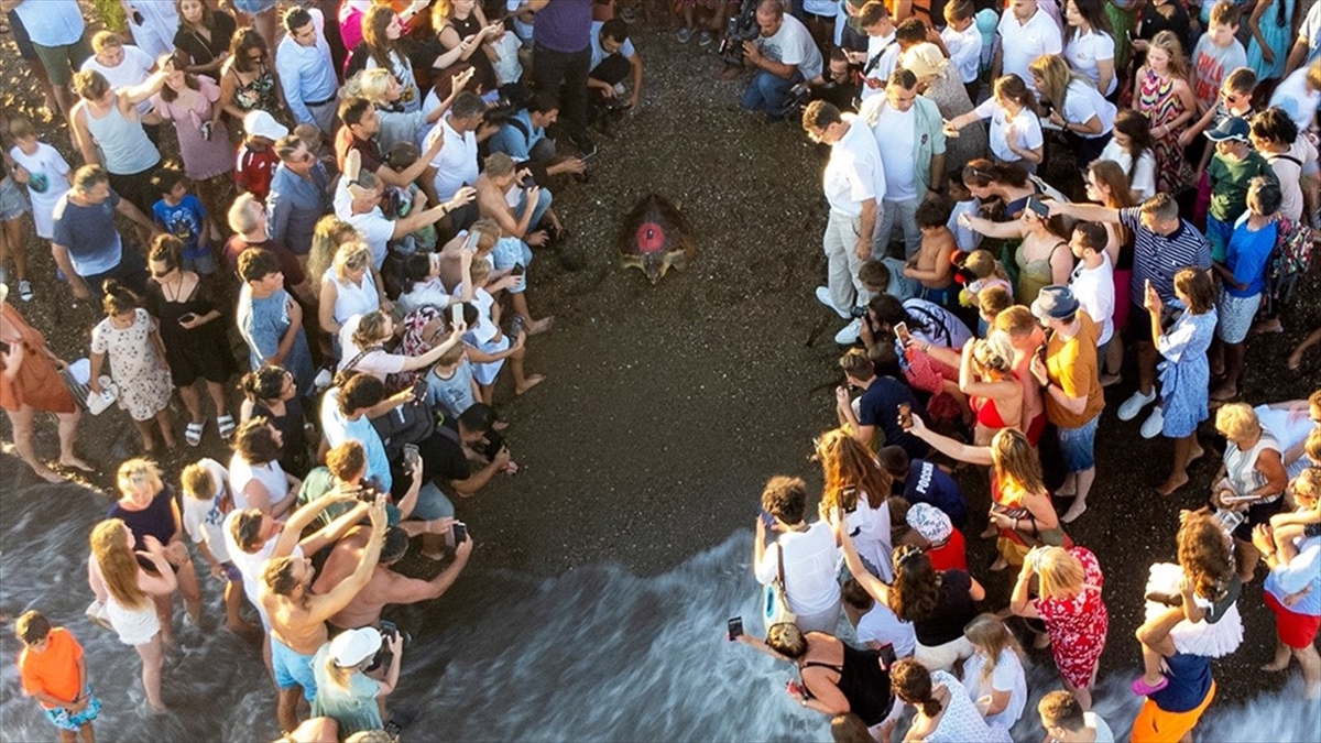 Antalya’da tedavi edilip denize bırakılan “Lara” adlı caretta caretta, bir yılda 3 bin kilometre yol katetti Antalya’da tedavi edilip denize bırakılan “Lara” adlı caretta caretta, bir yılda 3 bin kilometre yol katetti