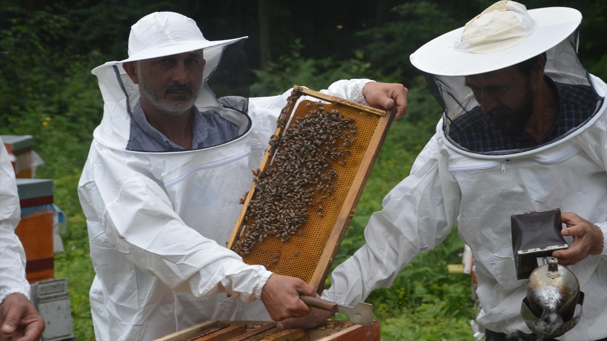 Balın kilogram maliyeti 110,76 lira olarak belirlendi Balın kilogram maliyeti 110,76 lira olarak belirlendi