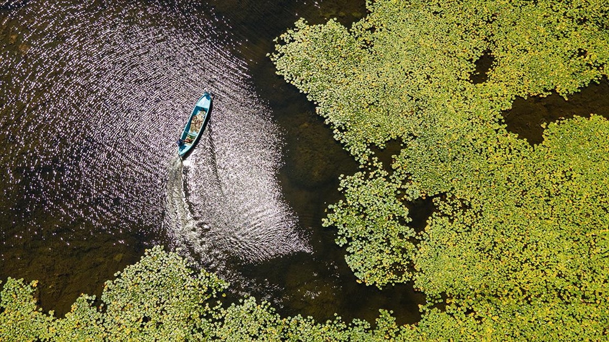 Beyşehir Gölü’nde balıkçı tekneleriyle gezilen nilüferler için tekne turları düzenleniyor Beyşehir Gölü’nde balıkçı tekneleriyle gezilen nilüferler için tekne turları düzenleniyor
