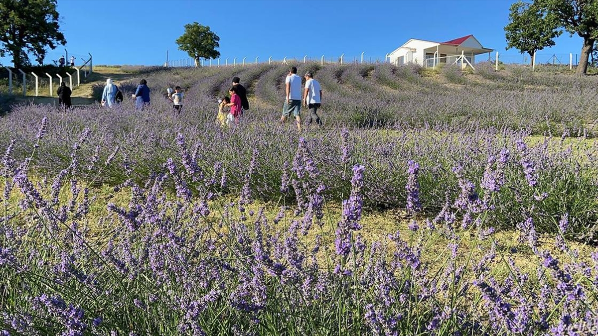 Karabük’ün yerel ürünleri ekoturizmle tanıtılacak