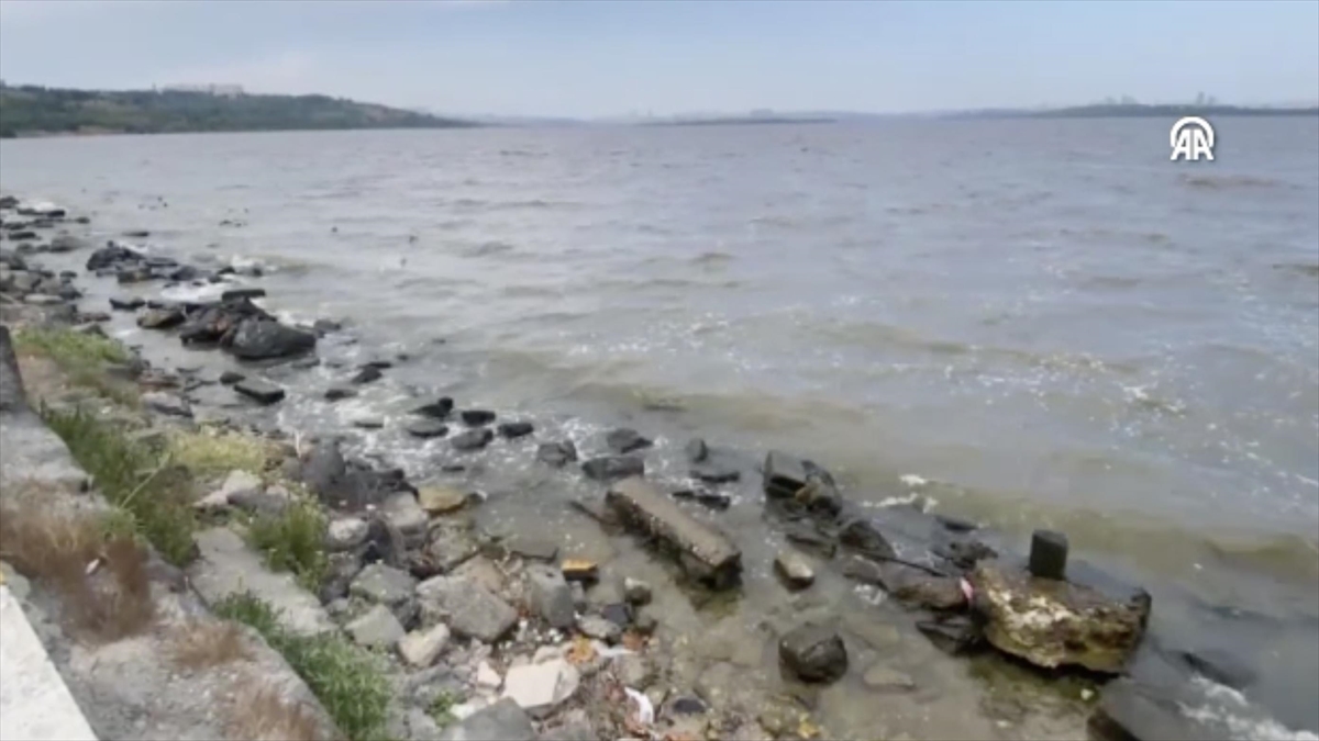 Küçükçekmece Gölü kahverengiye büründü Küçükçekmece Gölü kahverengiye büründü