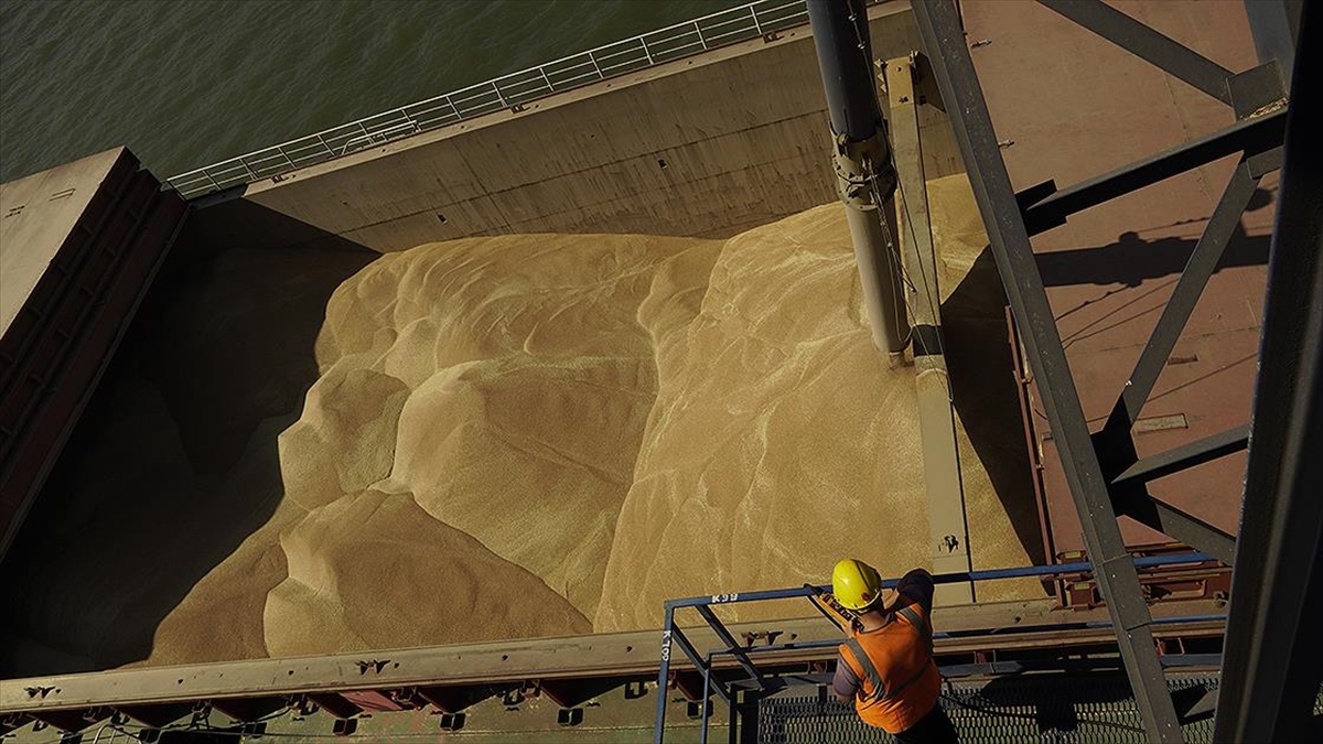 NATO-Ukrayna Konseyi tahıl konusunda toplanacak NATO-Ukrayna Konseyi tahıl konusunda toplanacak