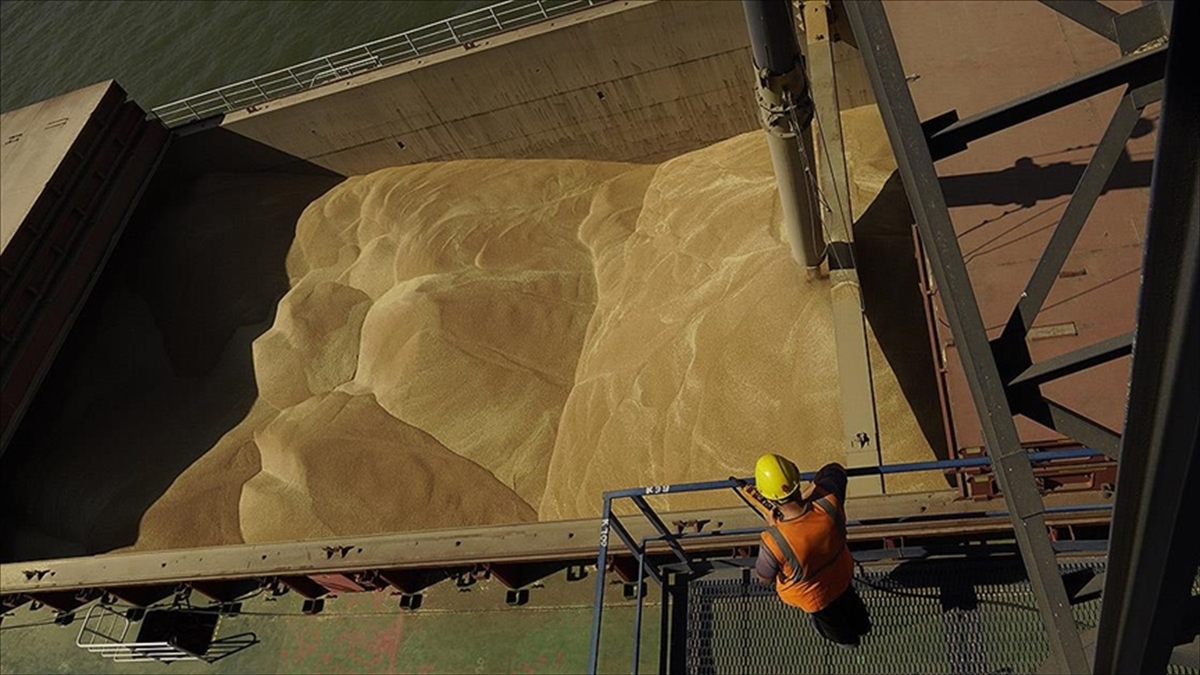 AB, Ukrayna tahılının ihracatını mali destekle kolaylaştırmak istiyor AB, Ukrayna tahılının ihracatını mali destekle kolaylaştırmak istiyor