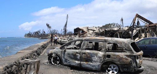 Hawaii’deki Orman Yangınları: Ölü Sayısı 99’a Yükseldi Hawaii’deki Orman Yangınları: Ölü Sayısı 99’a Yükseldi