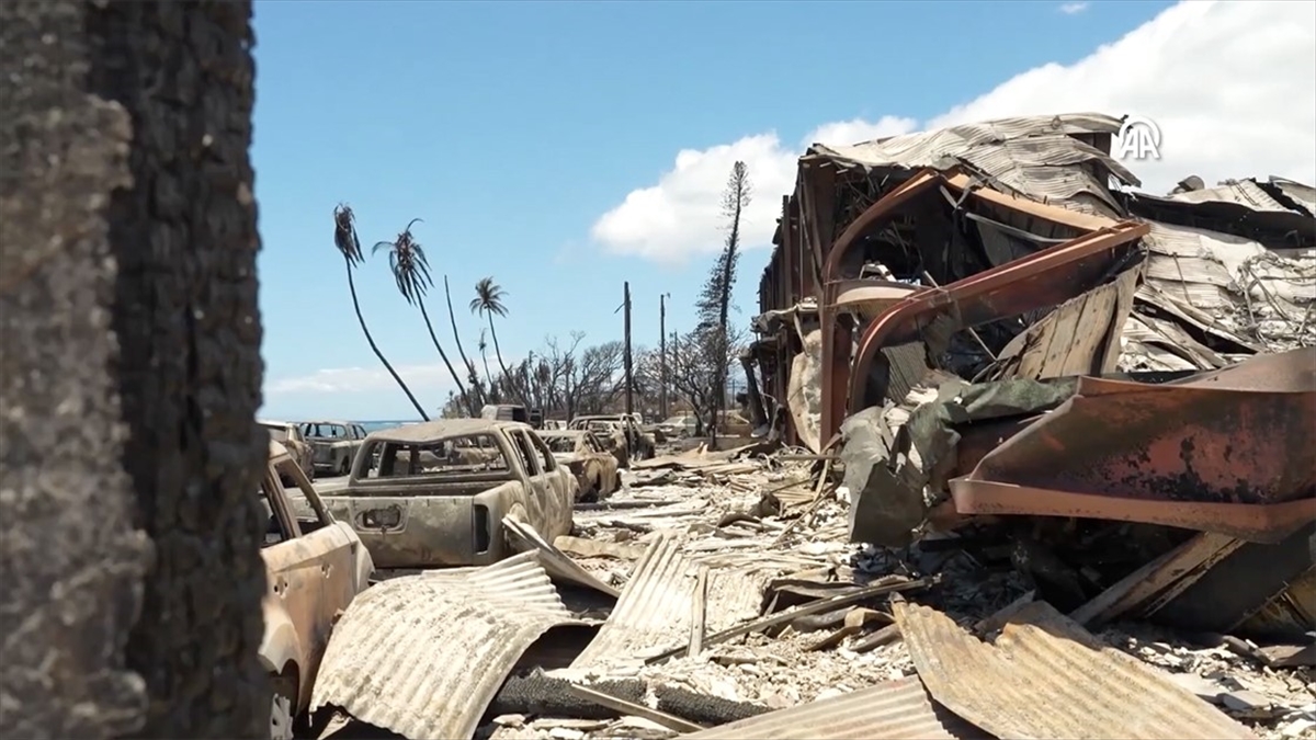 Hawaii’de devam eden orman yangınlarında ölenlerin sayısı 96’ya yükseldi Hawaii’de devam eden orman yangınlarında ölenlerin sayısı 96’ya yükseldi