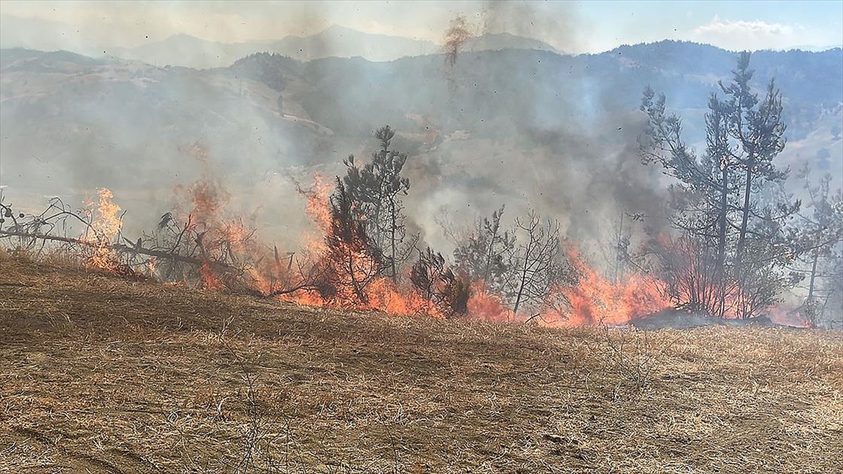 Kahramanmaraş’ta çıkan orman yangınına müdahale ediliyor Kahramanmaraş’ta çıkan orman yangınına müdahale ediliyor