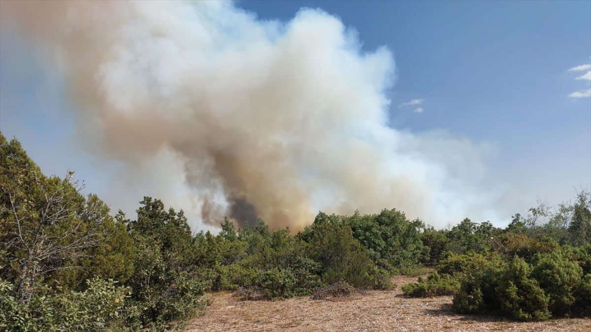 Kütahya’da çıkan orman yangınına müdahale ediliyor Kütahya’da çıkan orman yangınına müdahale ediliyor