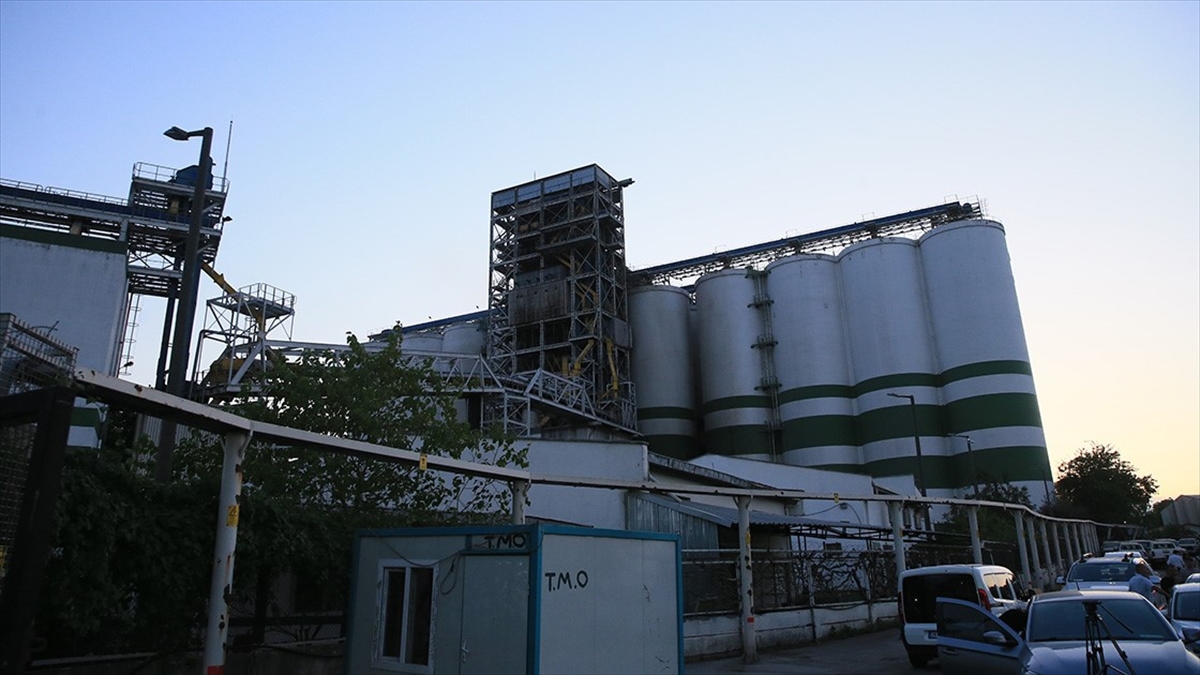 TMO Genel Müdürü Güldal: Derince’deki patlamayla herhangi bir buğday eksikliğinin olmayacağını söyleyebiliriz TMO Genel Müdürü Güldal: Derince’deki patlamayla herhangi bir buğday eksikliğinin olmayacağını söyleyebiliriz