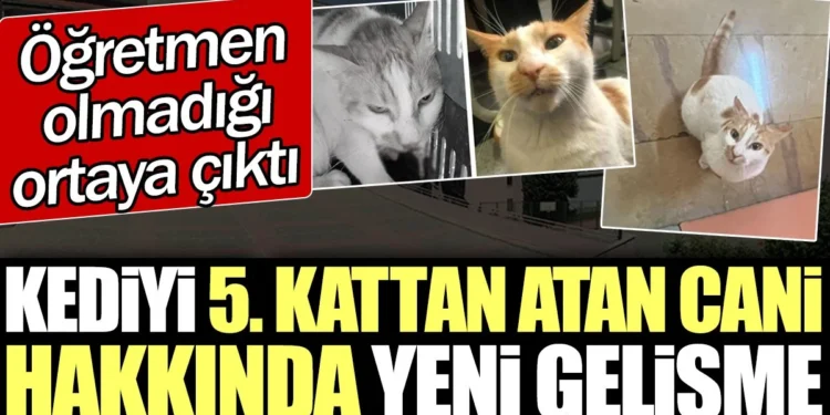 Kediyi 5. kattan atan cani hakkında yeni gelişme. Öğretmen olmadığı ortaya çıktı