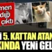 Kediyi 5. kattan atan cani hakkında yeni gelişme. Öğretmen olmadığı ortaya çıktı Kediyi 5. kattan atan cani hakkında yeni gelişme. Öğretmen olmadığı ortaya çıktı