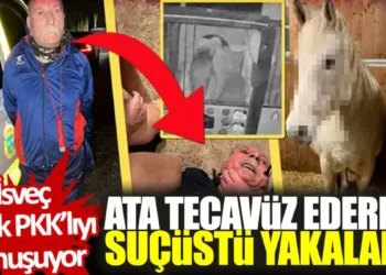 İsveç sapık PKK’lıyı konuşuyor… İsveç sapık PKK’lıyı konuşuyor…