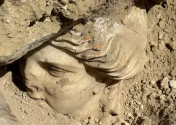 Denizli’de bulundu! Büyük heyecan yarattı: Hygieia’nın başı…