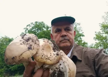 ‘Acil servise başvurular arttı’ İşte ilk belirtileri… ‘Acil servise başvurular arttı’ İşte ilk belirtileri…