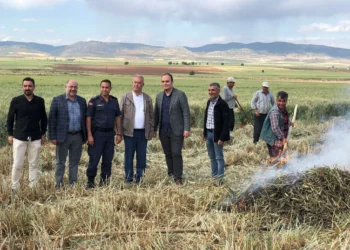 Gaziantep’te firik zamanı damaklar da yine şenlik