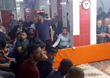 Diyarbakır’da Horoz Dövüşü Operasyonu: 7 Gözaltı