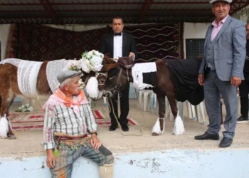 ‘Nesli tükenmesin’ diye eşeklere sembolik nikah kıydılar ‘Nesli tükenmesin’ diye eşeklere sembolik nikah kıydılar
