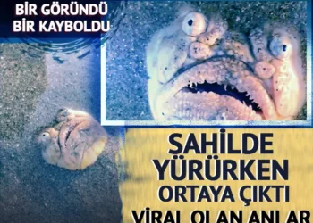 Gören cep telefonuna sarıldı! Gören cep telefonuna sarıldı!