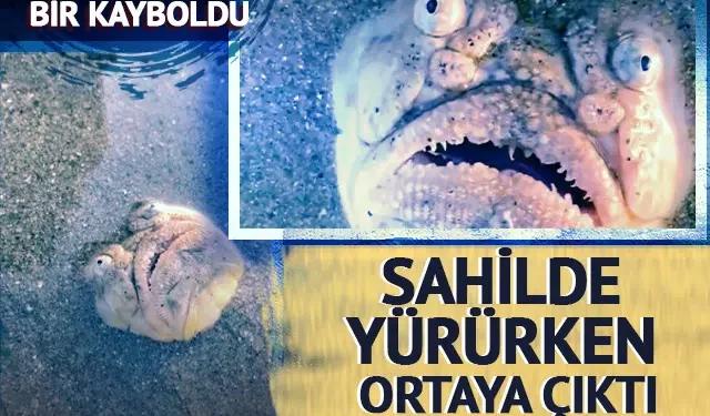 Gören cep telefonuna sarıldı! Gören cep telefonuna sarıldı!