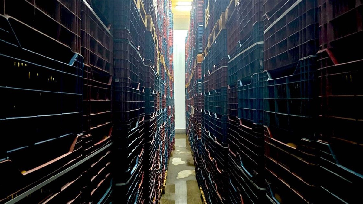 Mersin’de Hal Kayıt Sistemi’ne bildirilmeyen 380 ton limon tespit edildi