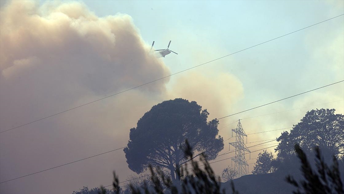 Aydın’da zeytinlik ve ormanlık alanda çıkan yangına müdahale sürüyor Aydın’da zeytinlik ve ormanlık alanda çıkan yangına müdahale sürüyor