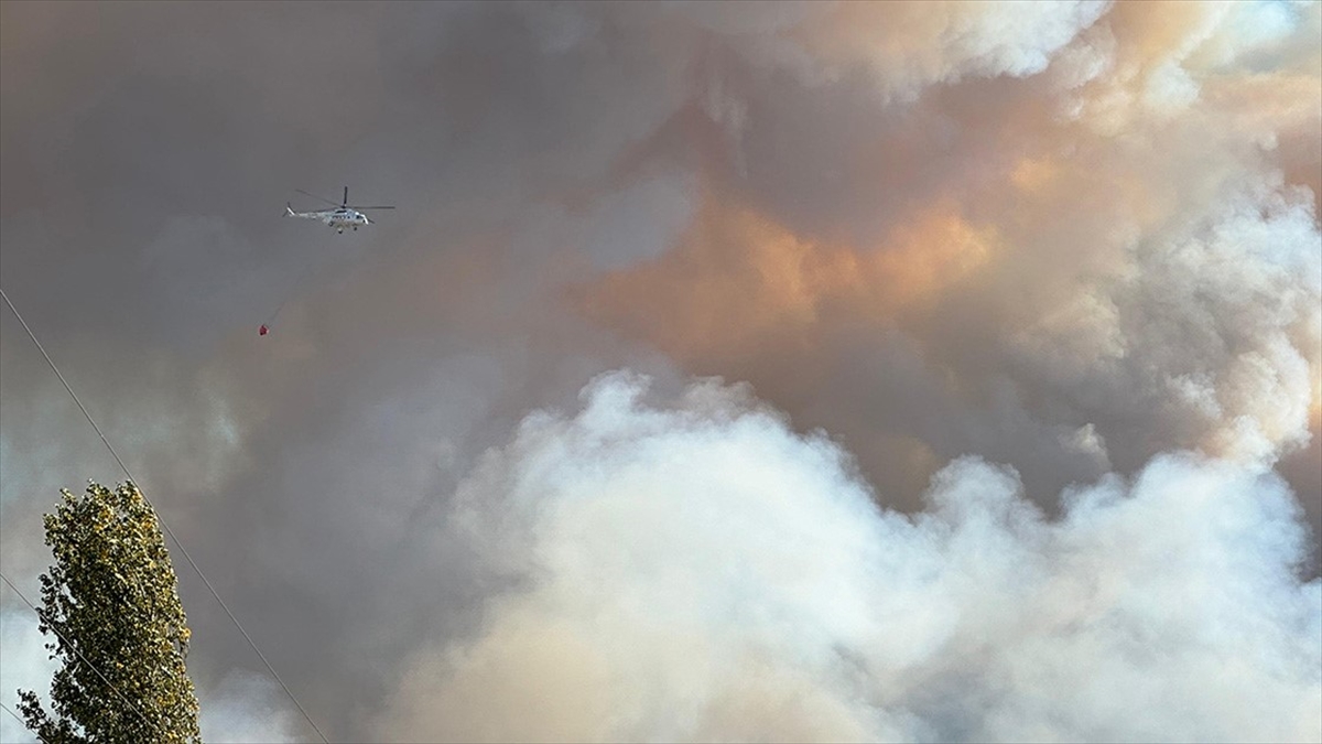 Uşak’ta dün başlayan orman yangını kontrol altına alındı Uşak’ta dün başlayan orman yangını kontrol altına alındı