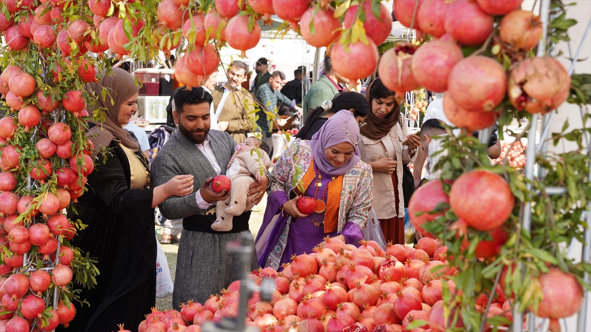 Halepçe’de 3 gün sürecek geleneksel Nar Festivali başladı Halepçe’de 3 gün sürecek geleneksel Nar Festivali başladı