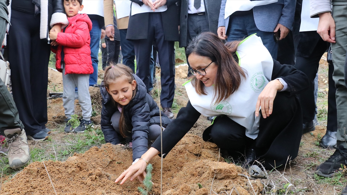 Milli Ağaçlandırma Günü’nde binlerce fidan toprakla buluşturuldu Milli Ağaçlandırma Günü’nde binlerce fidan toprakla buluşturuldu