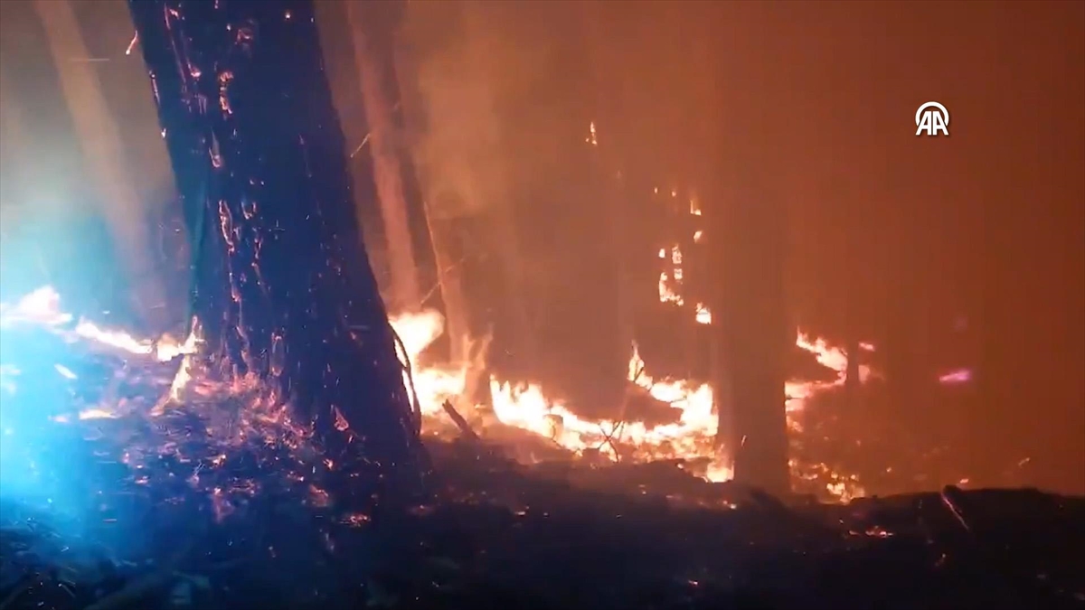 Japonya’nın batısında devam eden orman yangınları 600 hektardan fazla alanı kül etti