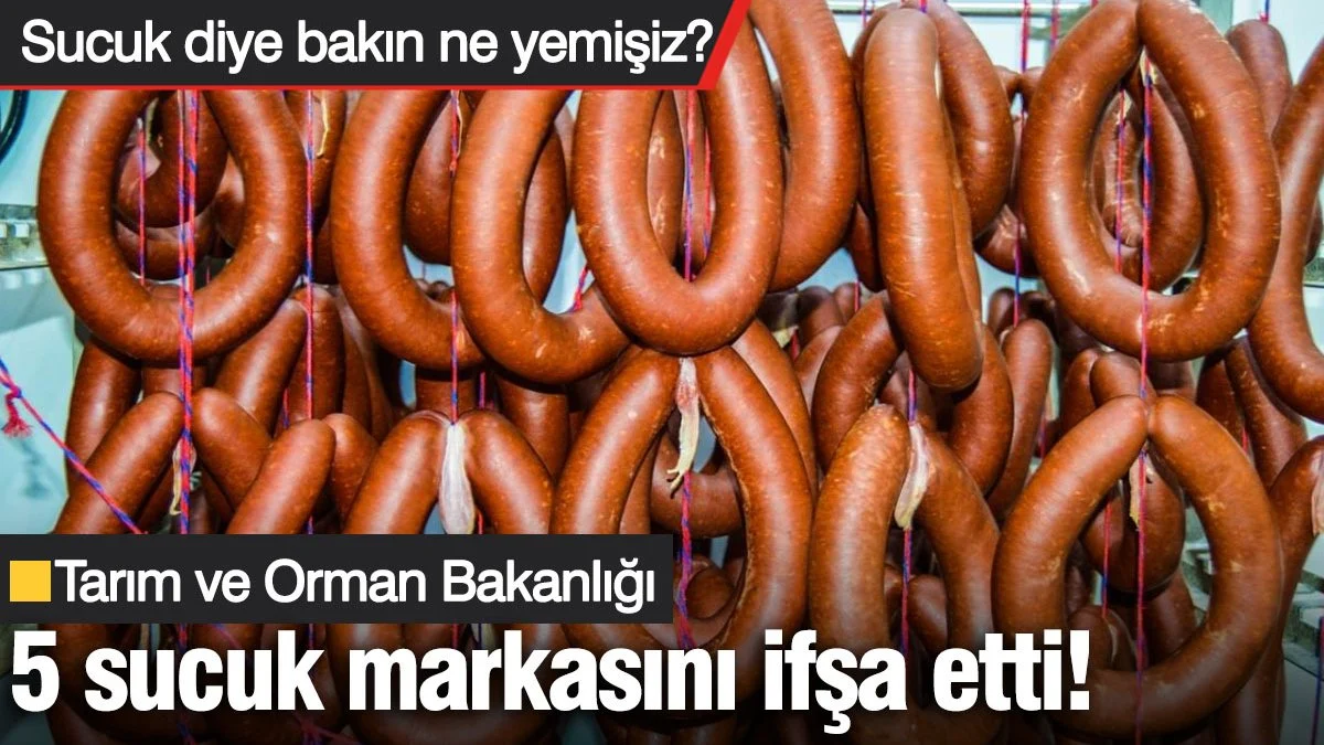 Bakanlık 5 sucuk markasını ifşa etti! Bakanlık 5 sucuk markasını ifşa etti!