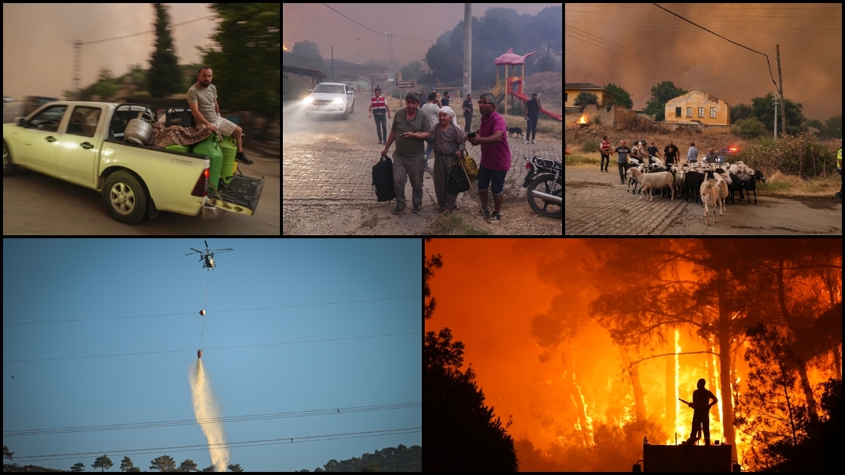 Bilecik, İzmir ve Hatay’da orman yangınlarından etkilenenlere yaklaşık 12,3 milyon liralık destek Bilecik, İzmir ve Hatay’da orman yangınlarından etkilenenlere yaklaşık 12,3 milyon liralık destek