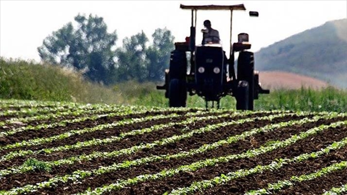 Çiftçilere yaklaşık 345 milyon lira tarımsal destekleme ödemesi yapılacak Çiftçilere yaklaşık 345 milyon lira tarımsal destekleme ödemesi yapılacak