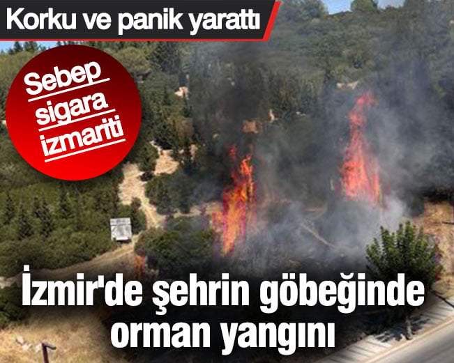 İzmir’de şehrin göbeğinde orman yangını İzmir’de şehrin göbeğinde orman yangını