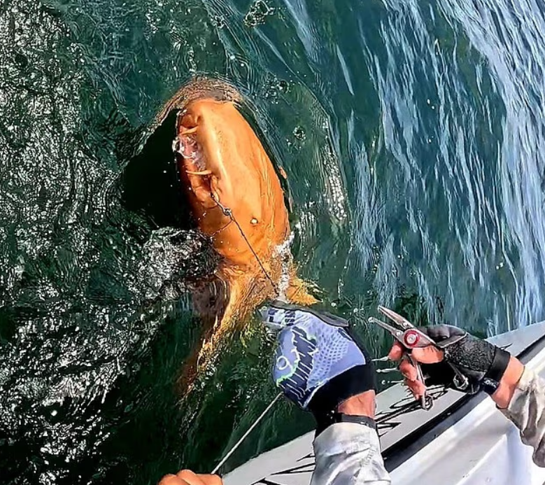 İlk kez görüldü: Bilim dünyası şaşkın