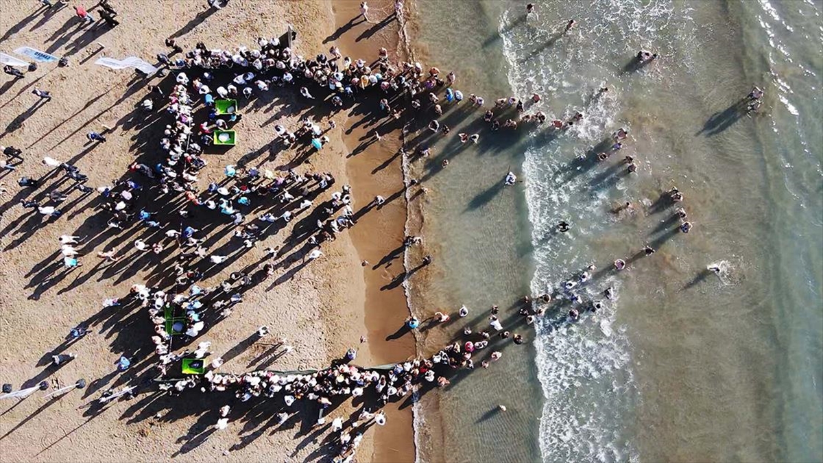 Muğla’da tedavileri tamamlanan deniz kaplumbağaları denizle buluştu Muğla’da tedavileri tamamlanan deniz kaplumbağaları denizle buluştu