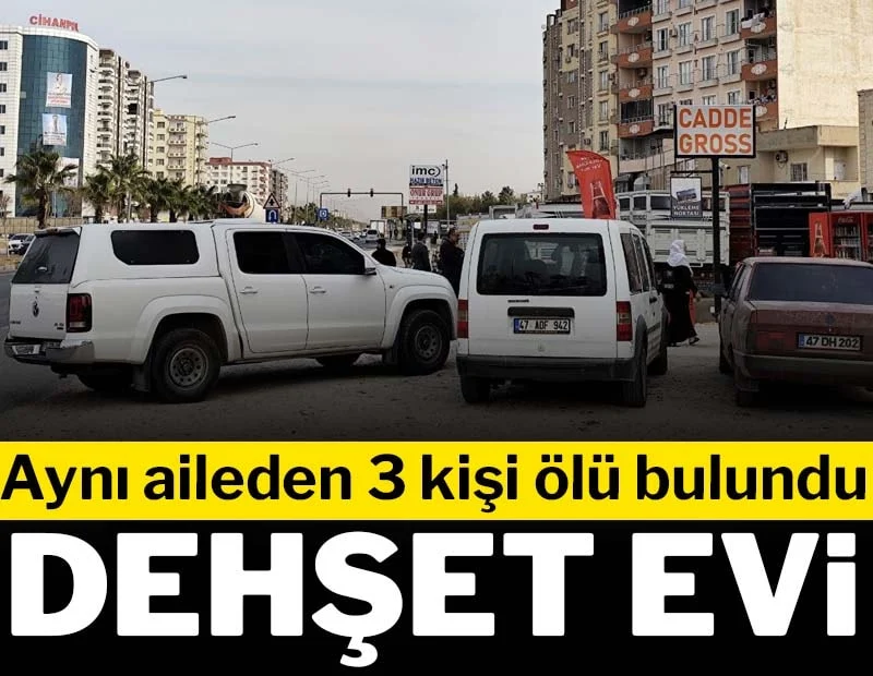 Mardin’de aile katliamı…