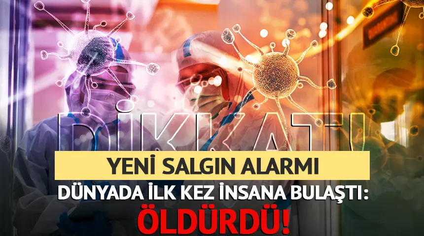 Kuş gribi alarmı: H5N5 virüsü dünyada ilk kez can aldı!