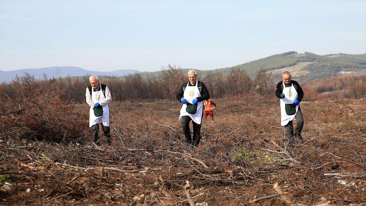 “Alev savaşçıları” bu kez fidan dikimi için sahada