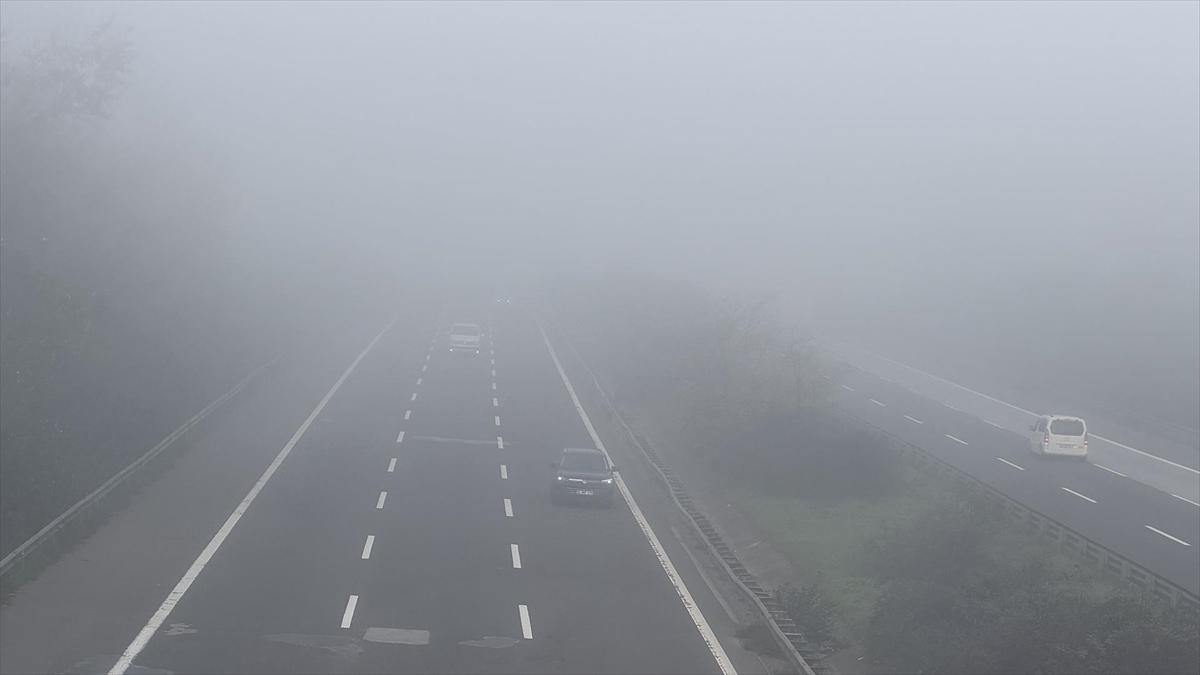 Anadolu Otoyolu’nun Düzce kesiminde sis etkili oldu