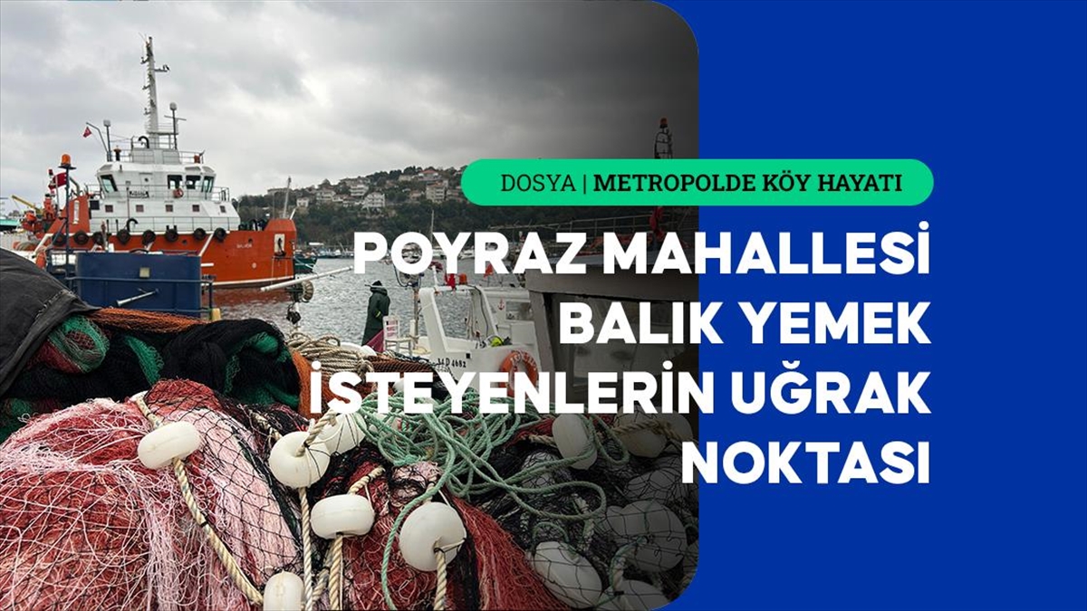 Boğaz’a nazır Poyraz Mahallesi sakinleri ekmeğini denizden çıkarıyor