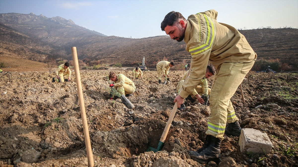 Bursa’da 3 milyon 250 bin fidan toprakla buluşacak Bursa’da 3 milyon 250 bin fidan toprakla buluşacak