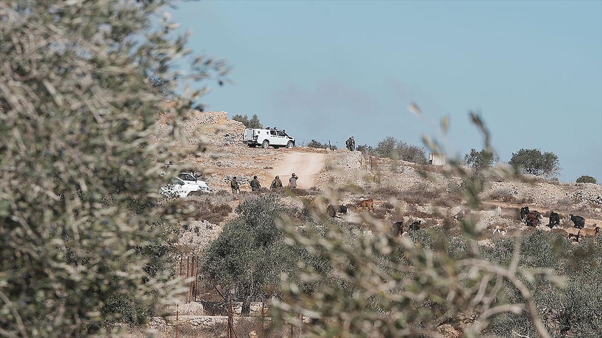 Filistin topraklarını gasbeden İsrailliler, Batı Şeria’da Filistinlilerin zeytin ağaçlarına zarar verdi Filistin topraklarını gasbeden İsrailliler, Batı Şeria’da Filistinlilerin zeytin ağaçlarına zarar verdi