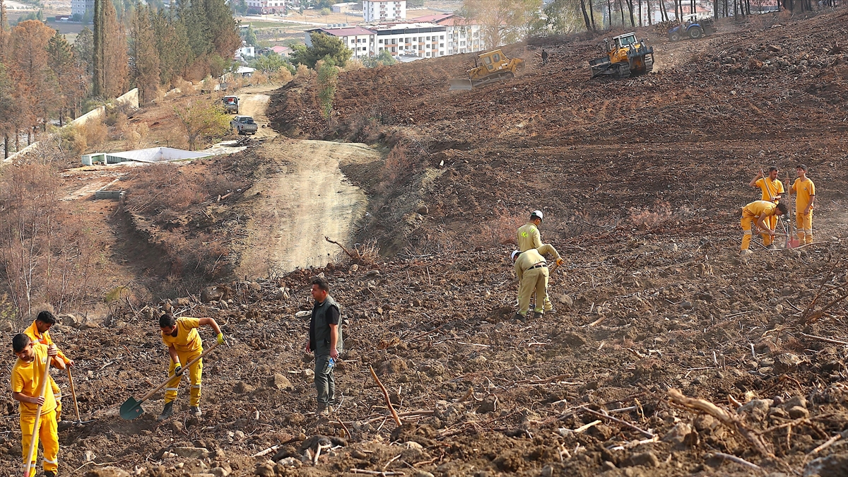 Hatay ve Kilis’te bir günde 44 bin 50 fidan toprakla buluşturulacak Hatay ve Kilis’te bir günde 44 bin 50 fidan toprakla buluşturulacak